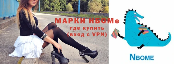 шишки Каменка
