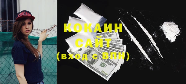 шишки Каменка