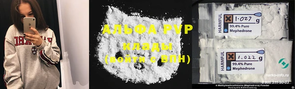 шишки Каменка