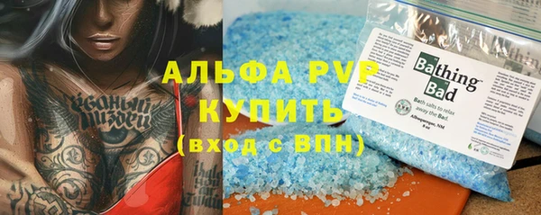 шишки Каменка