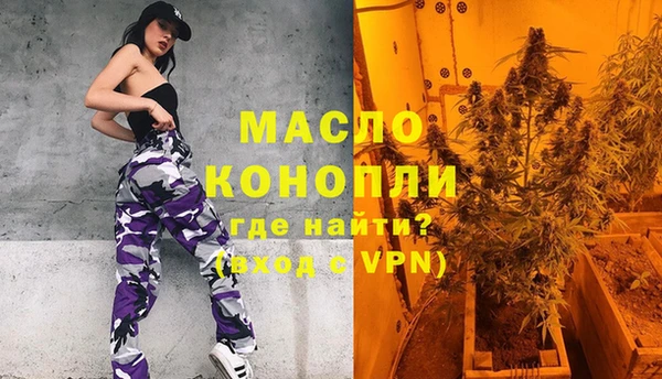 шишки Каменка