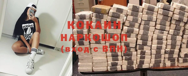 шишки Каменка