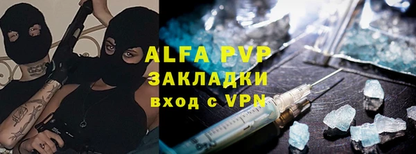 шишки Каменка