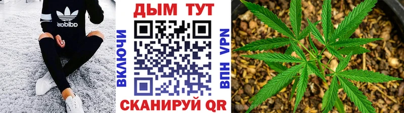 Шишки марихуана план Купить где Бронницы